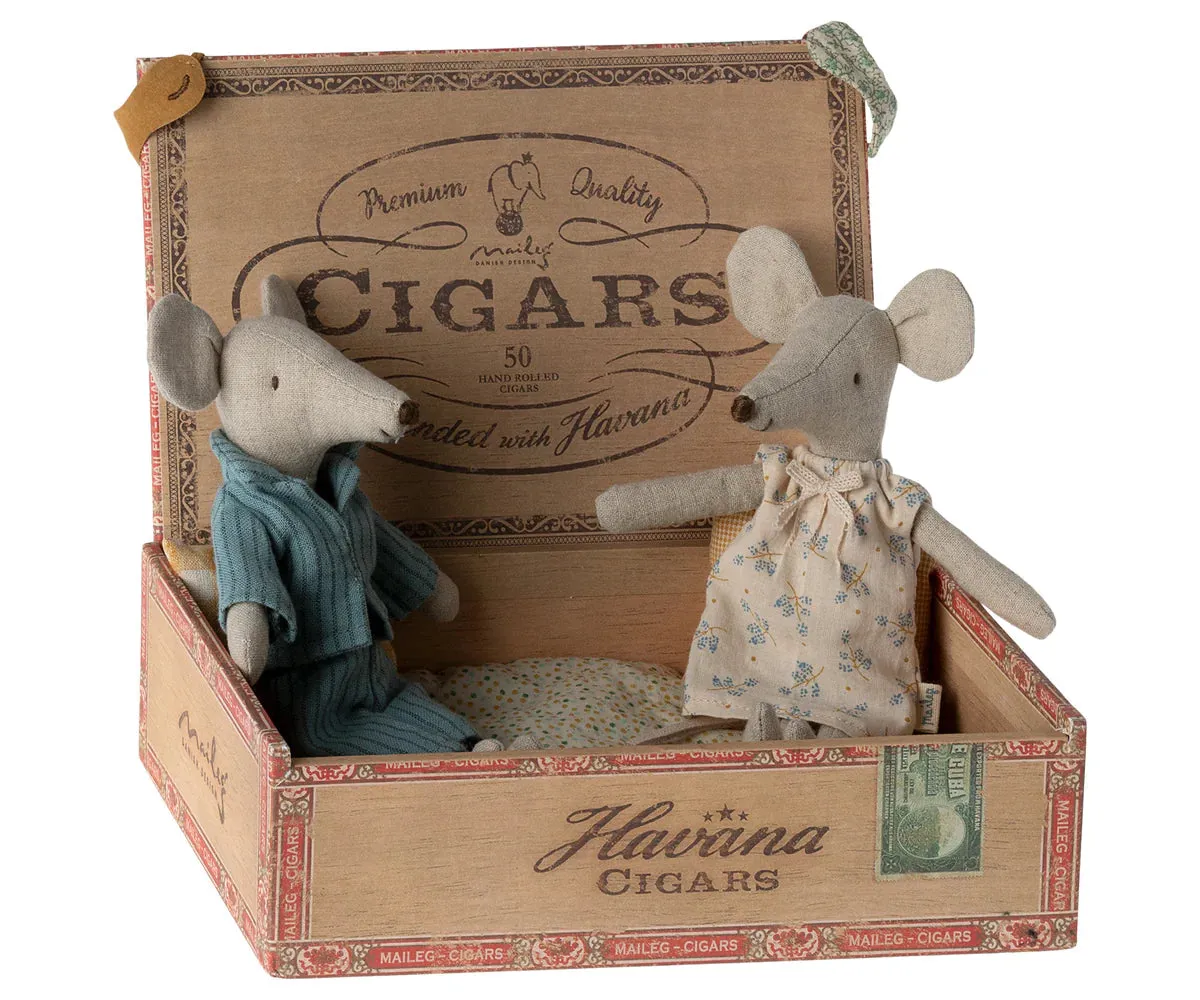 Mum & Dad Mice In Cigar Box